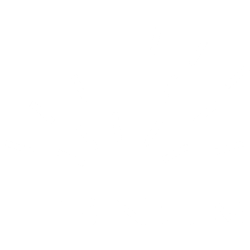 Lignum Leiden
